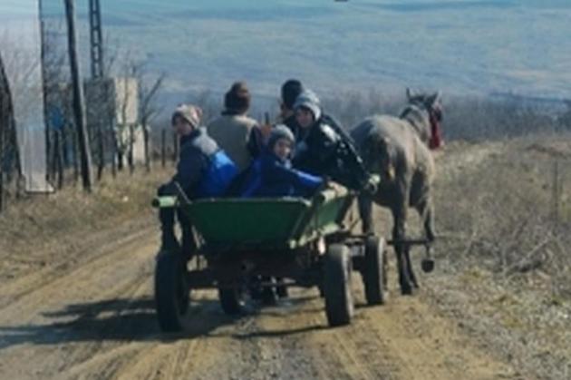 Într-un sat din Botoşani cu microbuz, copiii vin de la şcoală cu căruţa. „Iaca aşa-i chinuie în democraţi