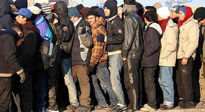 Germania speriata de creşterea „imigranţilor săraci”